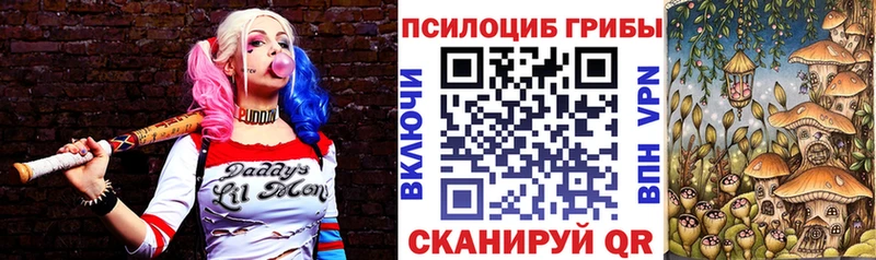 Псилоцибиновые грибы ЛСД  Купить  Верхоянск 